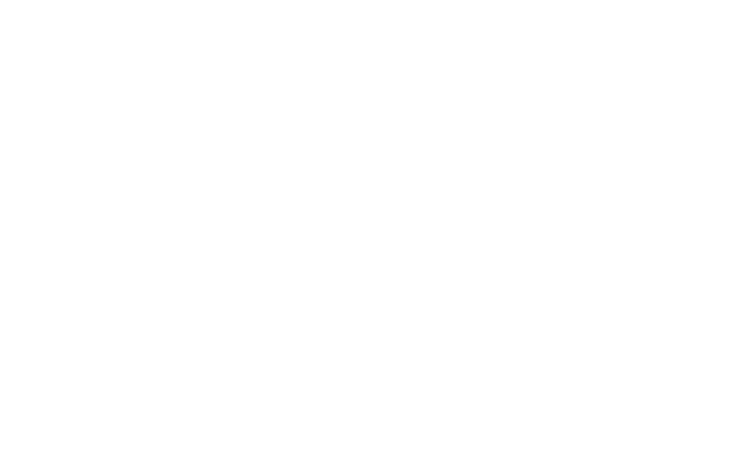 C-MISE part of the Global Exchange on Migration